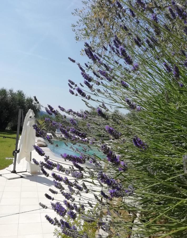 La Cicala Stonata Bed & Breakfast Долчеакуа Екстериор снимка