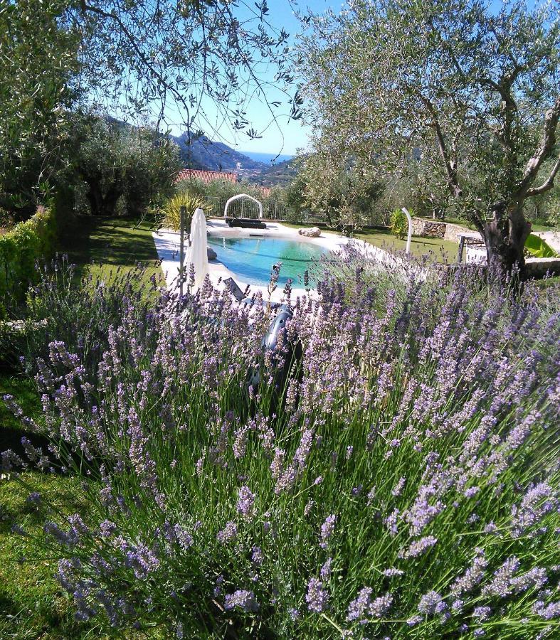 La Cicala Stonata Bed & Breakfast Долчеакуа Екстериор снимка