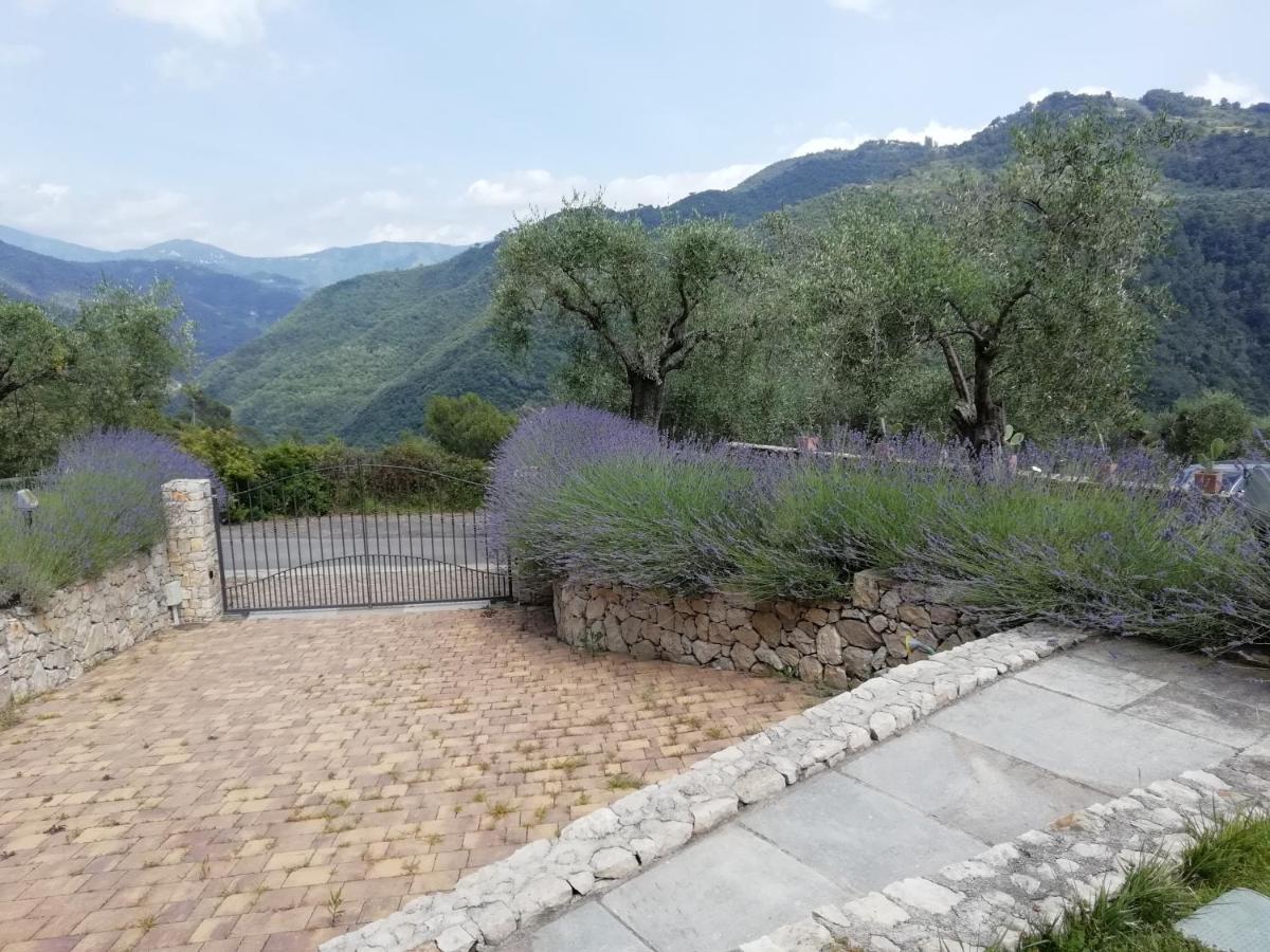 La Cicala Stonata Bed & Breakfast Долчеакуа Екстериор снимка