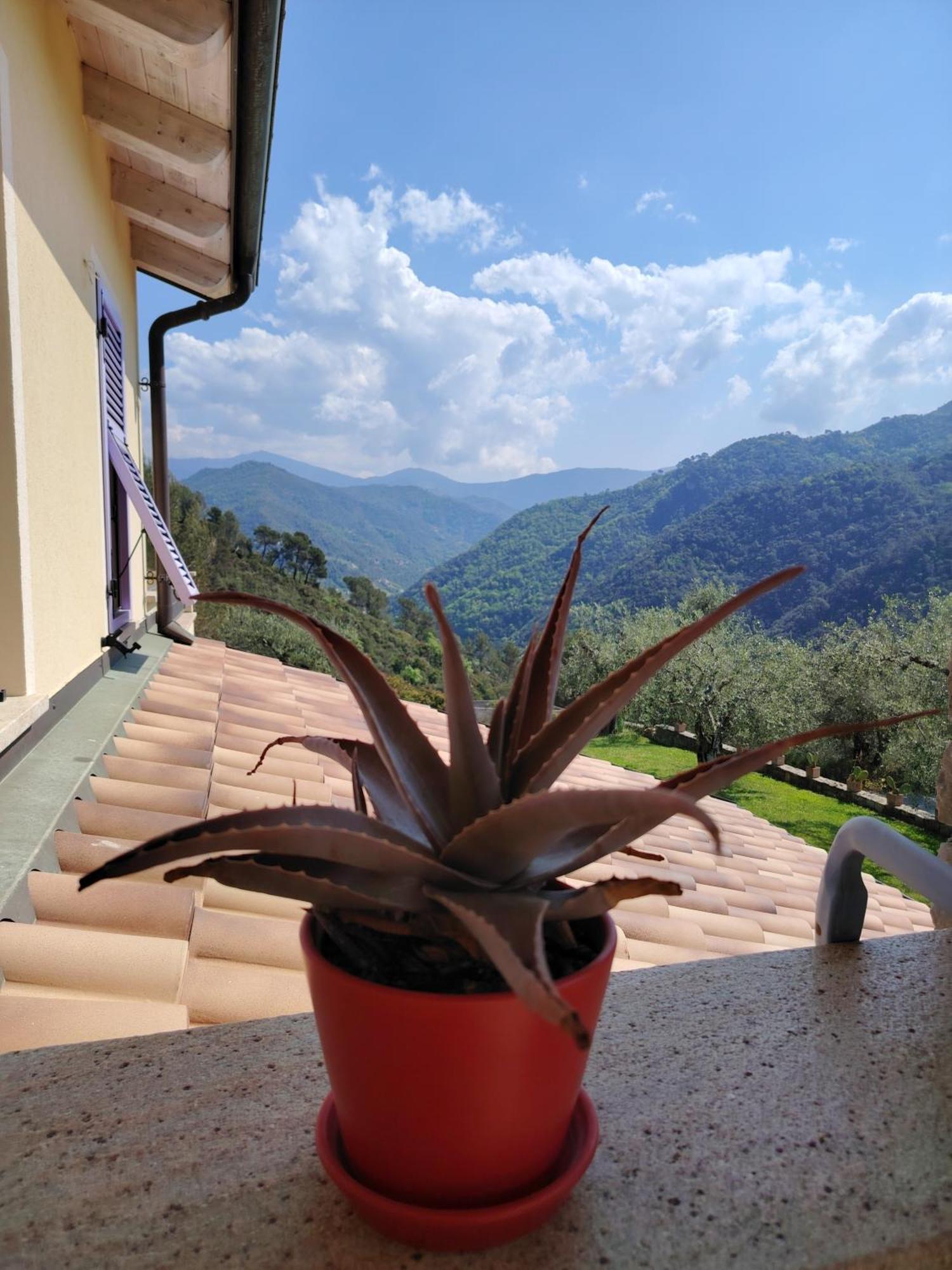 La Cicala Stonata Bed & Breakfast Долчеакуа Екстериор снимка